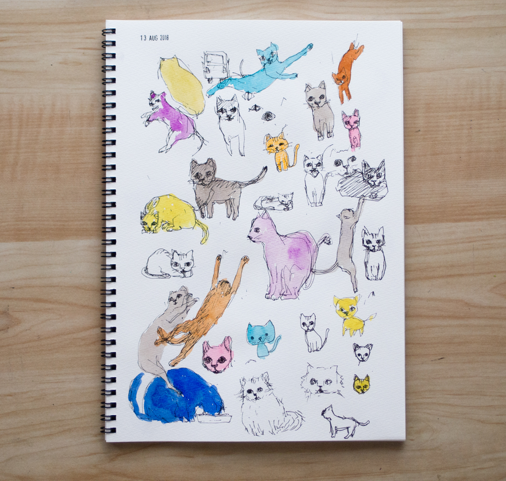 drawing of cats on sketchbook