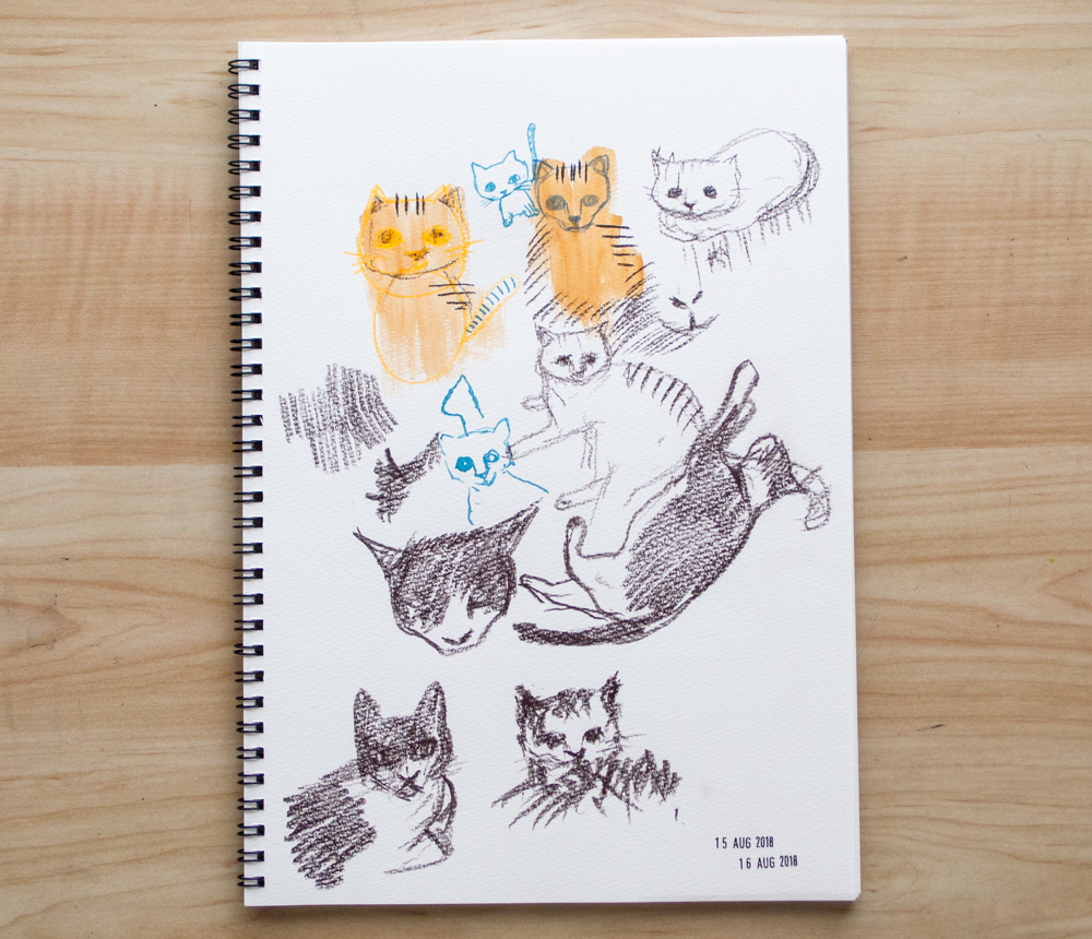 drawing cats on sketchbook