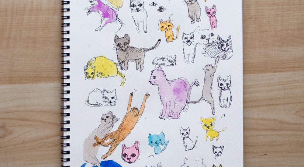 Cats Drawing